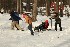 Sled Pullers