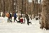 Sled Pullers