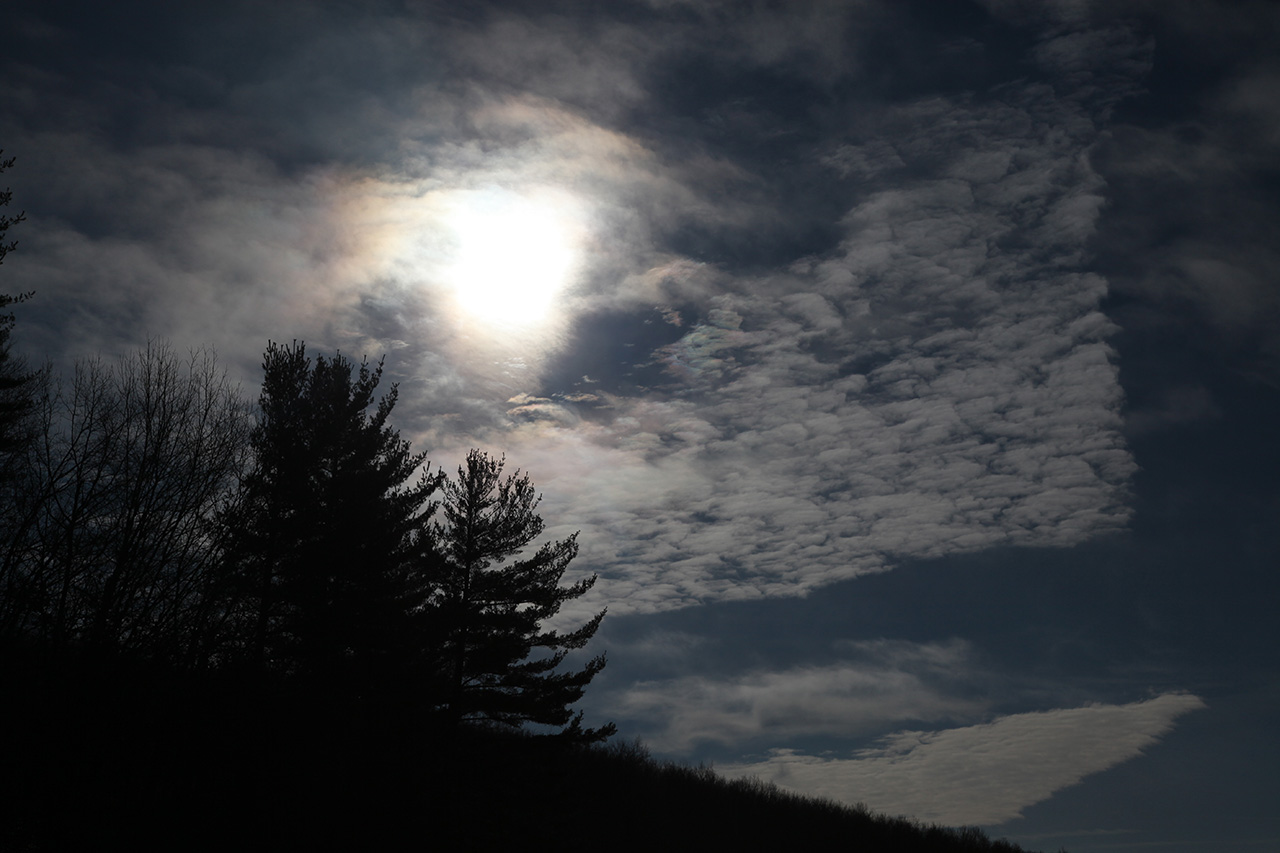 Morning Sky