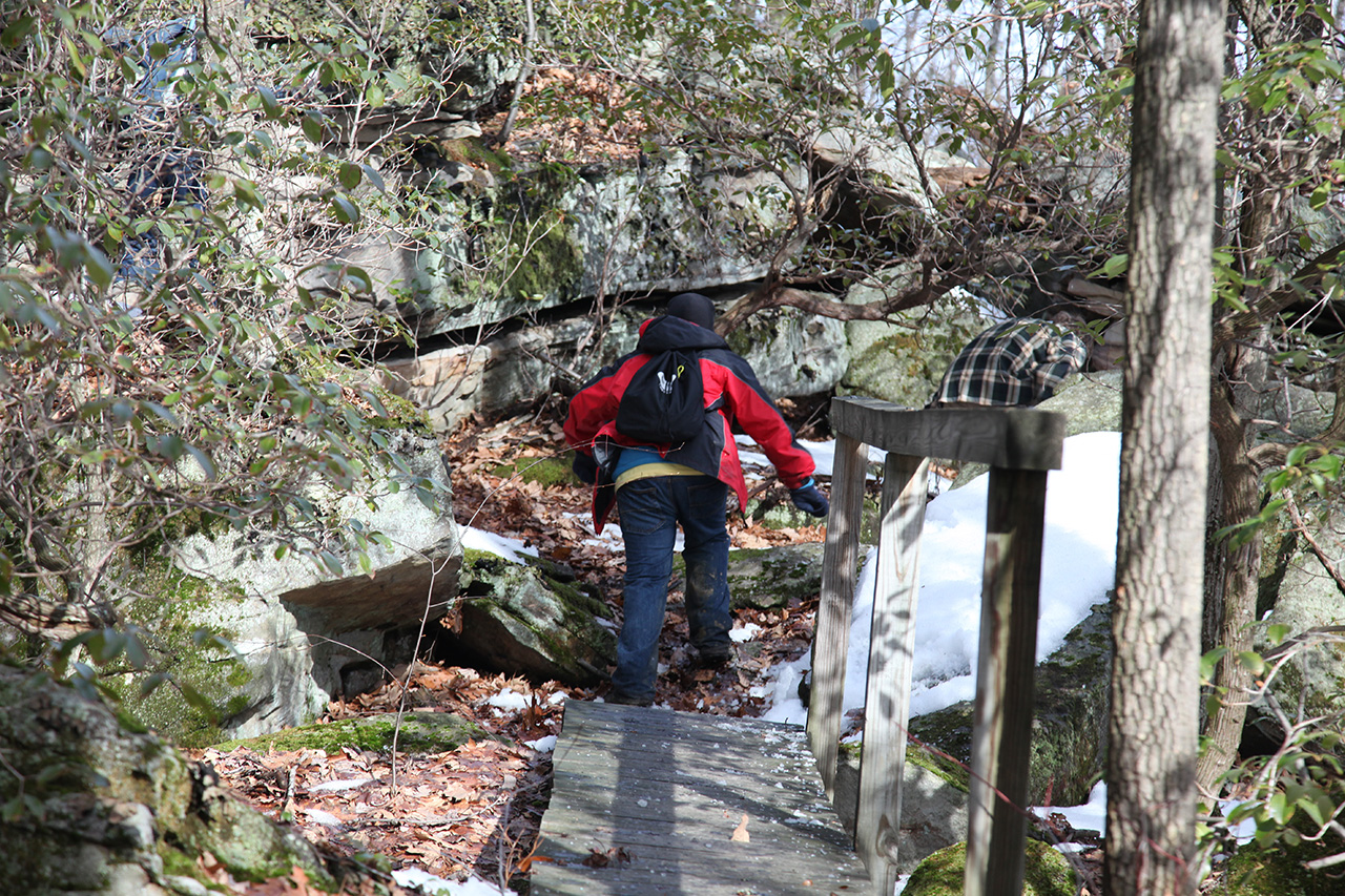 Ted crosses bridge
