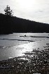 No Swimming