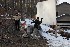 Snowball Fight at the Fire Challenge