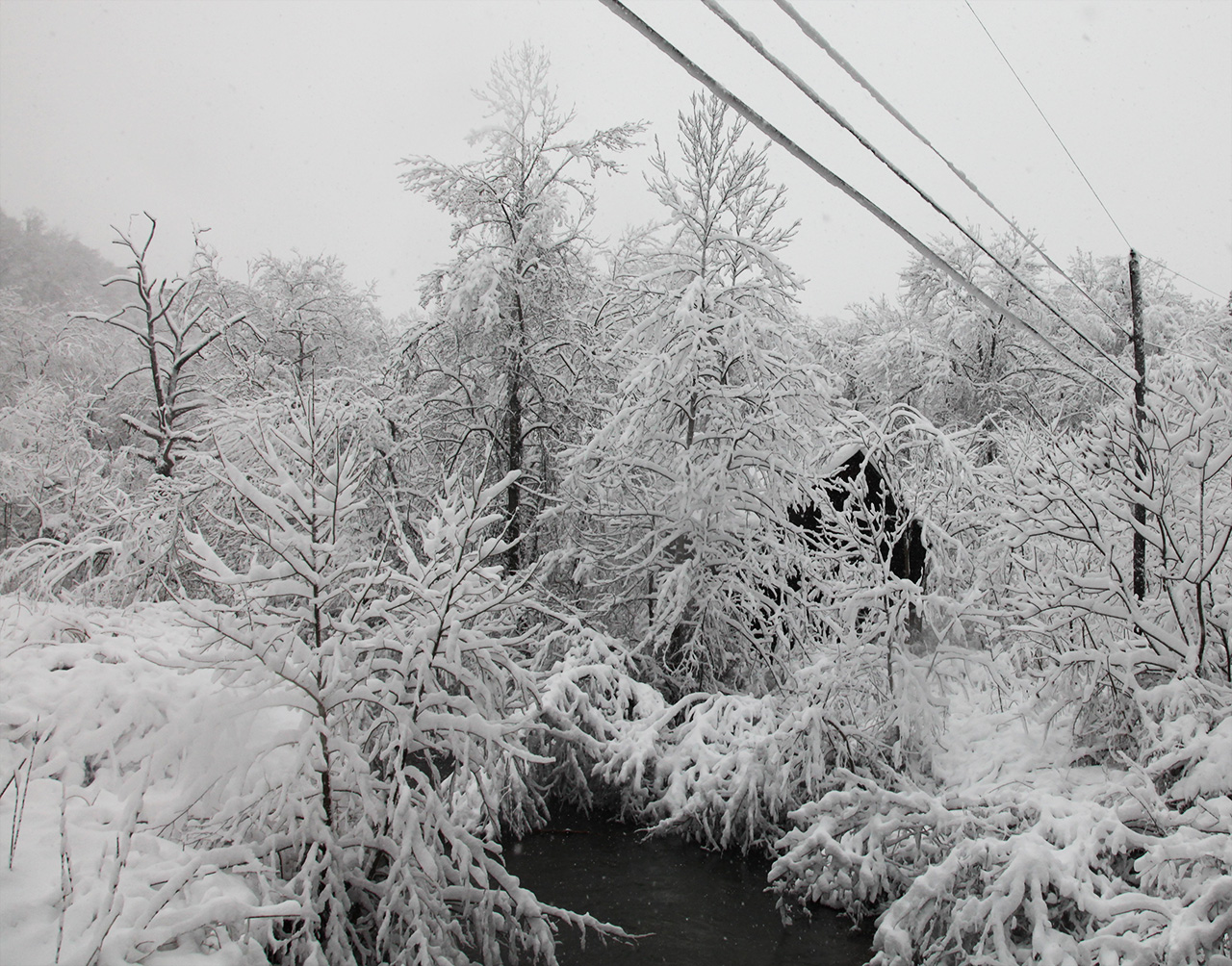 Click to Enlarge - Morgan's Run Road