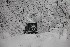 Jeep on Morgan's Run Road