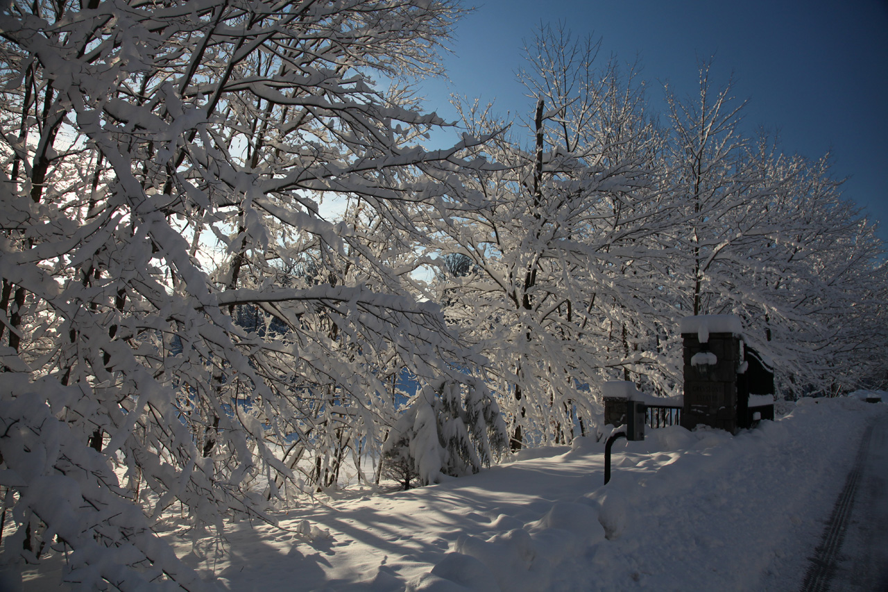 Click to Enlarge - Greystone Estates Entrance