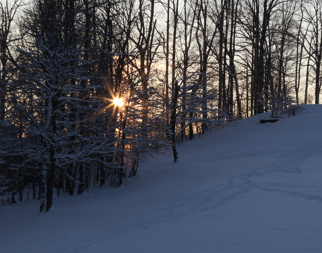 Click to Enlarge - Waning Light