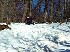 Movie: mov03807.mpg Carl Climbing