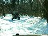 Movie: mov03857.mpg Jim