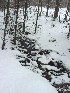 Stream