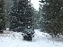 Jeep near C.C.C. Camp Bowers - Click to Enlarge