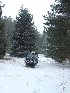 Jeep near C.C.C. Camp Bowers