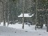Meat Box Run Picnic Area
