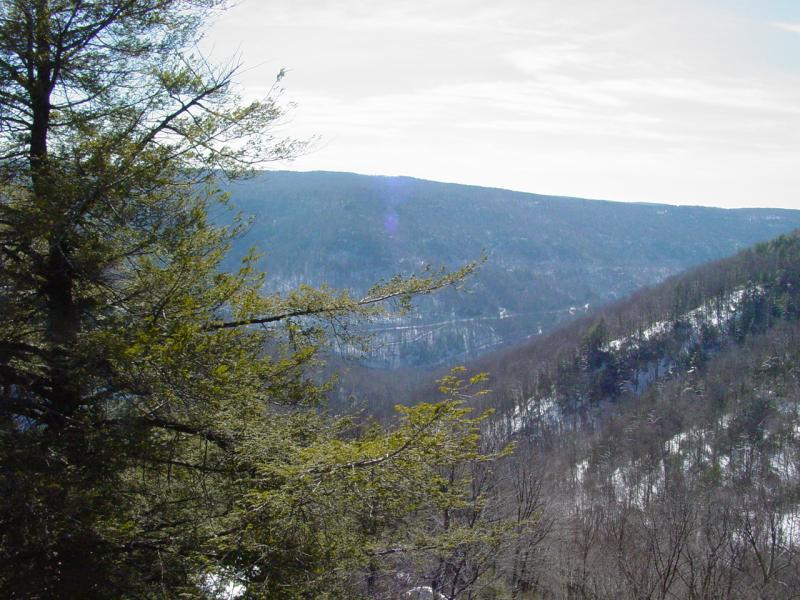Scenic Outlook