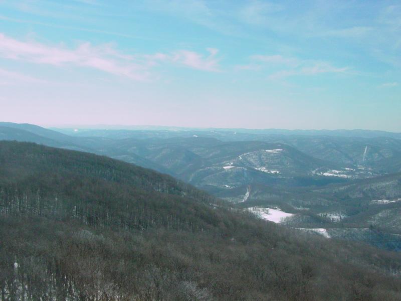 From Olson Tower