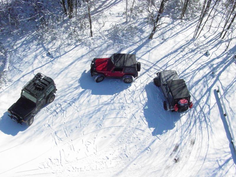 Jeep-Ants