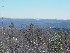 from Olson Tower