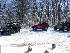 Jeeps