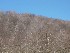 Hillside