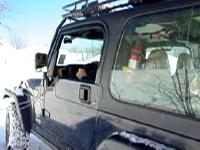 Movie: mov08281.mpg Paul