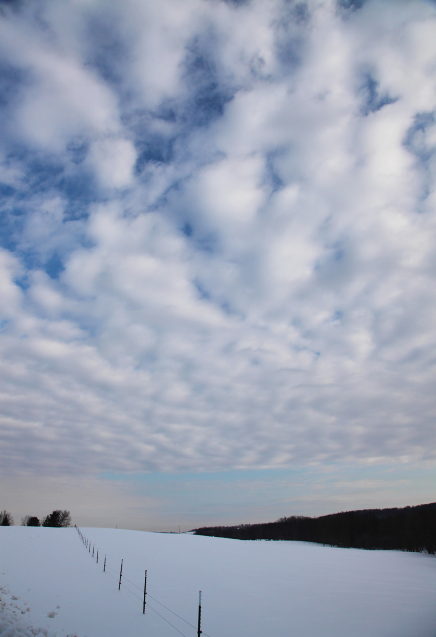 Harmony Grove Sky
