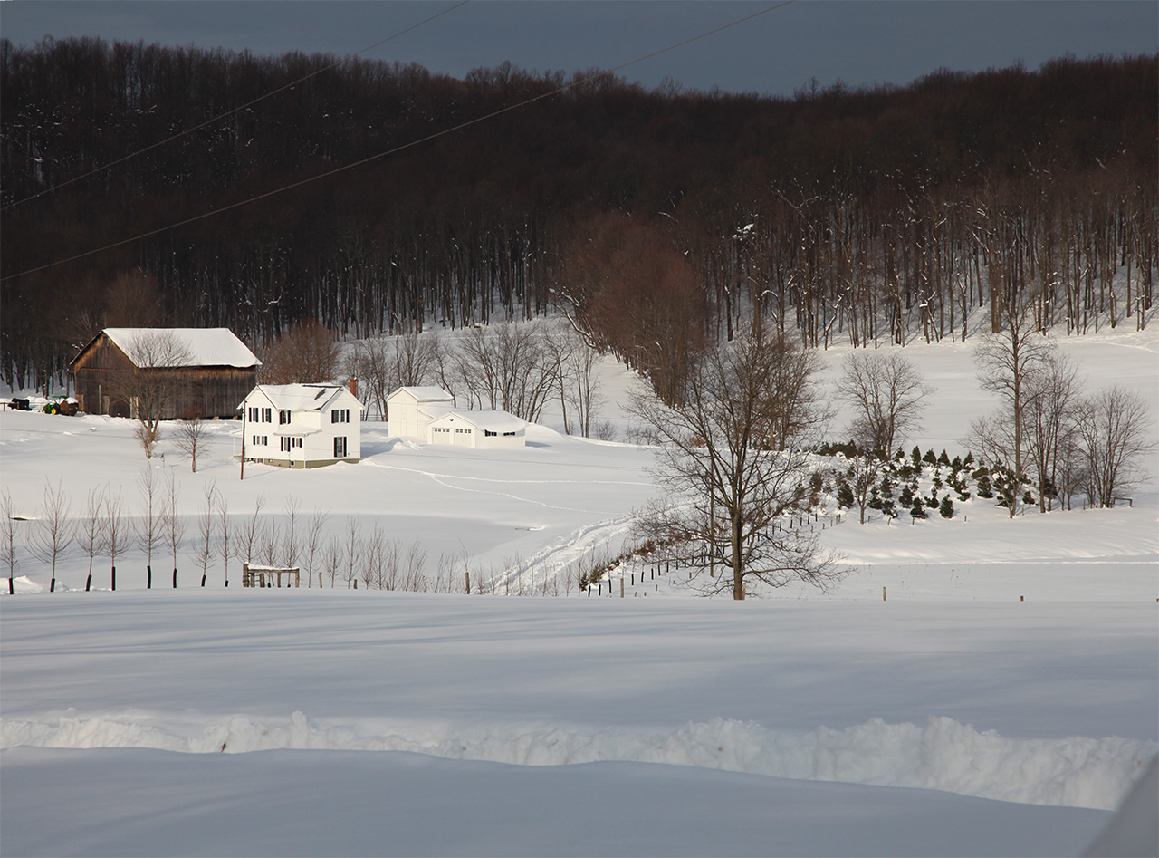 Harmony Grove Farm