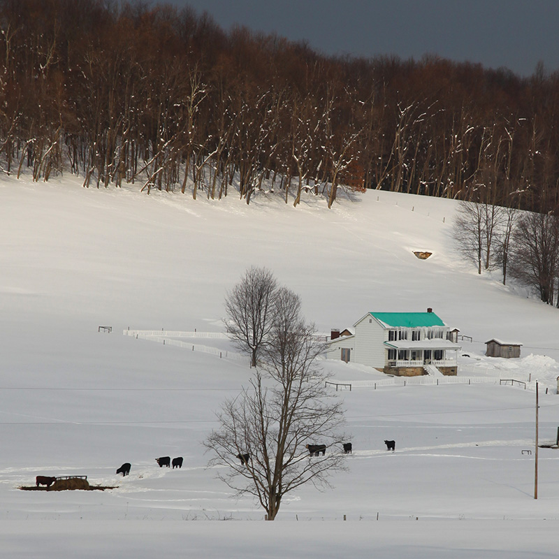 Harmony Grove Farm
