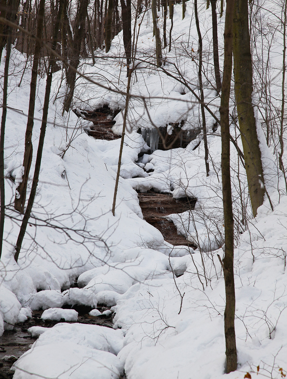 Draw near Greens Run-Long Hollow