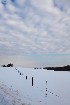 Harmony Grove Sky