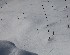 Tracks