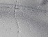 Tracks