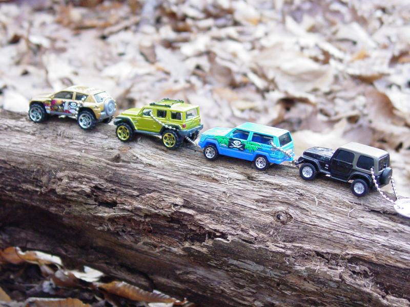 ppro Jeep Travel Bug Club - Click to Enlarge