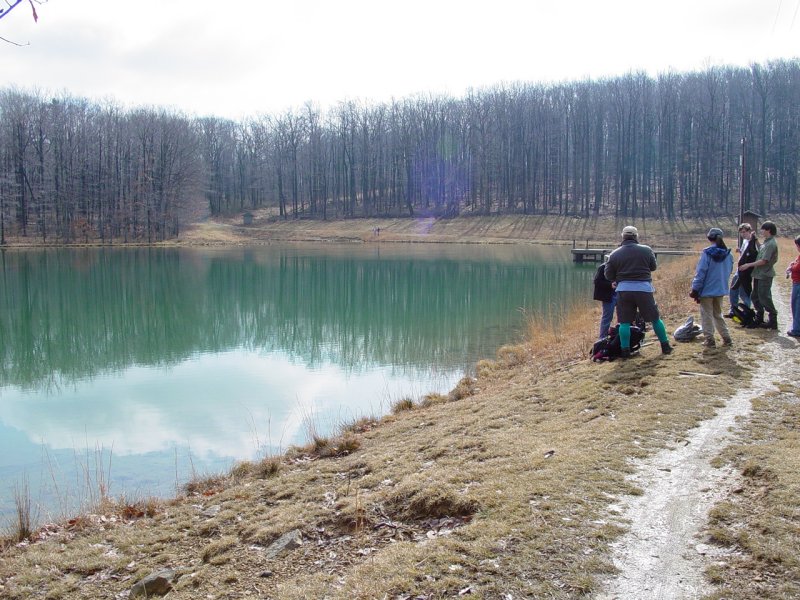 View of the Pond
