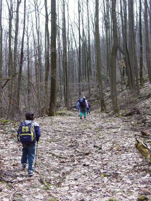 Hiking Back to the Beginning