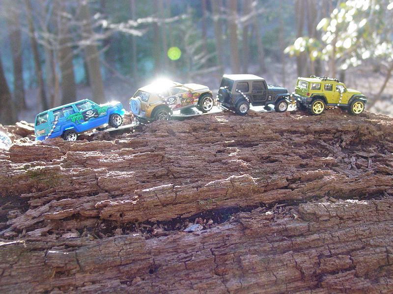 ppro Jeep Club - Click to Enlarge