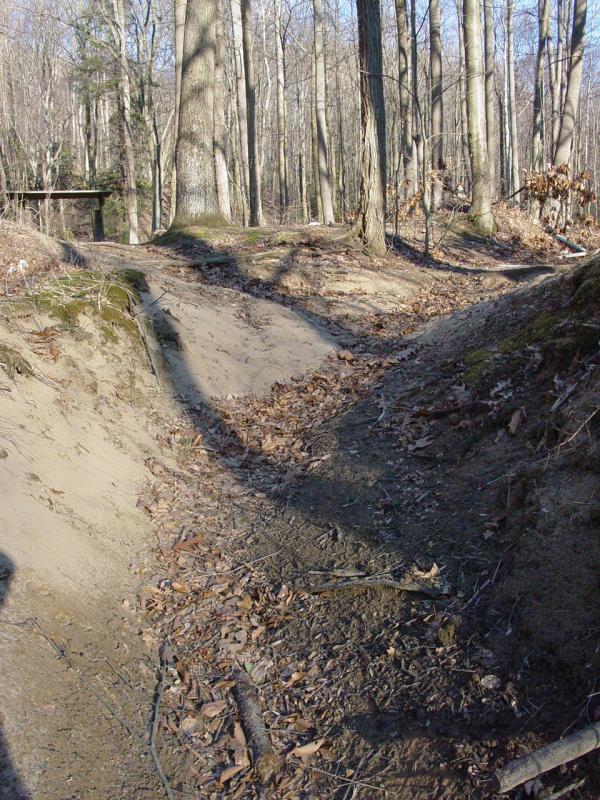 Path up from Cheat River