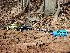ppro Jeep Club