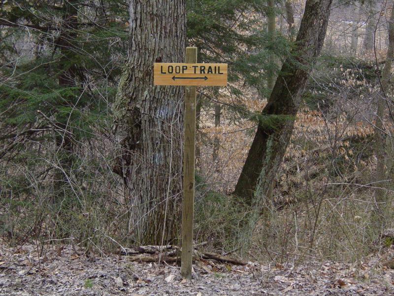Loop Trail Junction