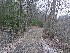 Trail