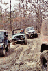 Dried Up Mud Hole