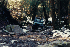 Todd, Ben and Nick Fisher, 73 CJ-5