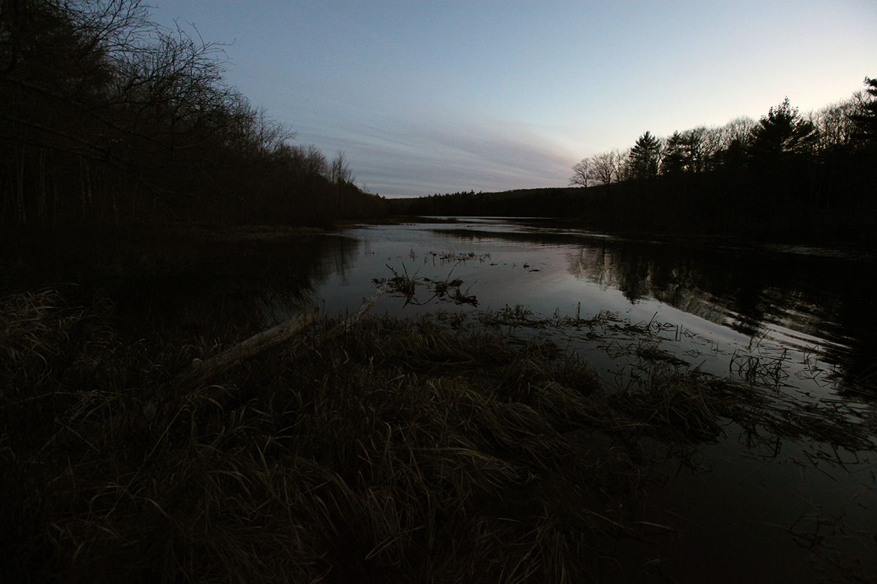 Stone Bridge Pond
