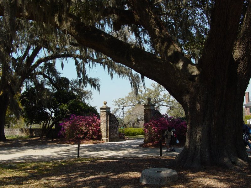 Boone Hall Plantation