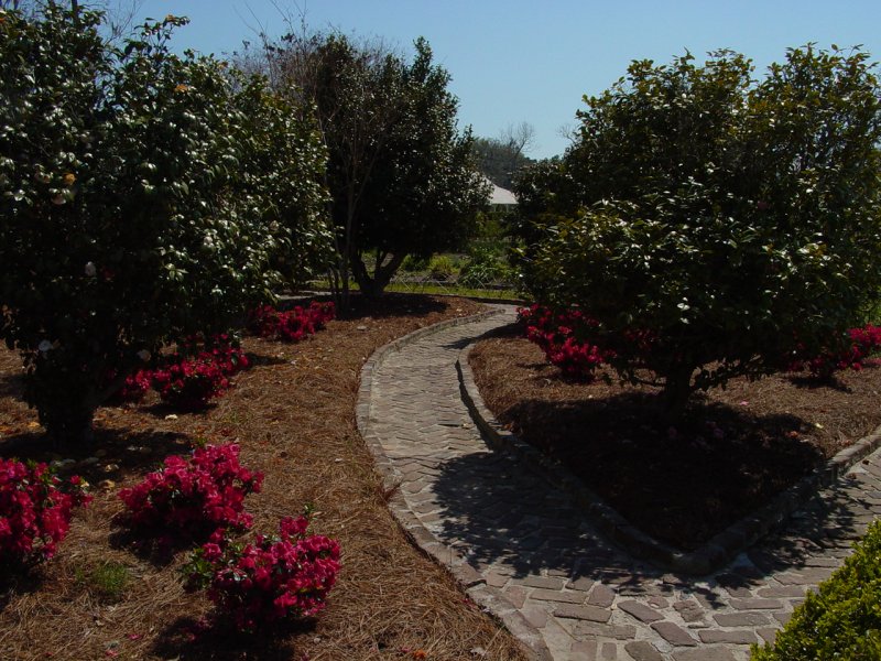 Garden near Boone Hall Plantation House