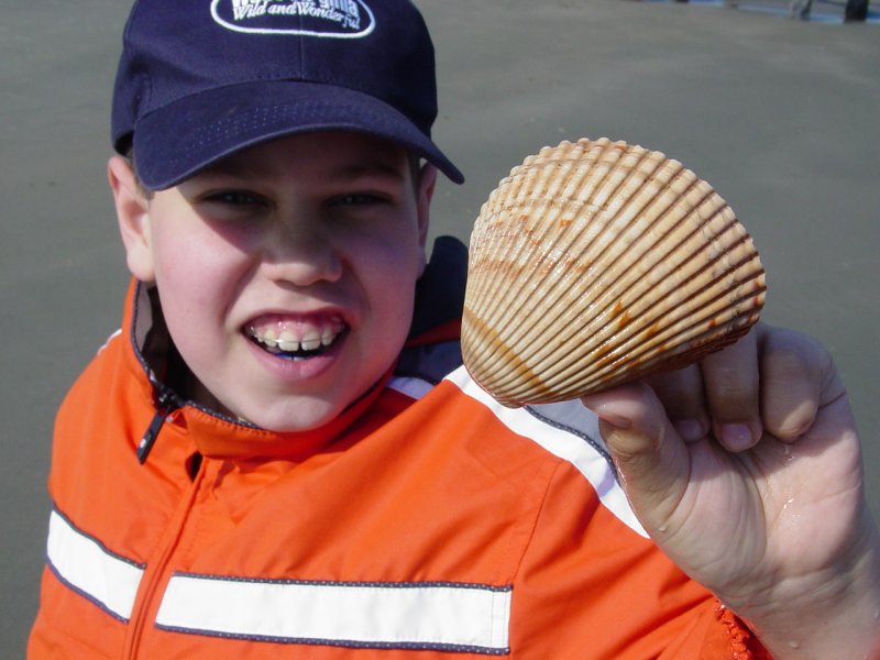 Ted with Shell on Isle of Palms Beach