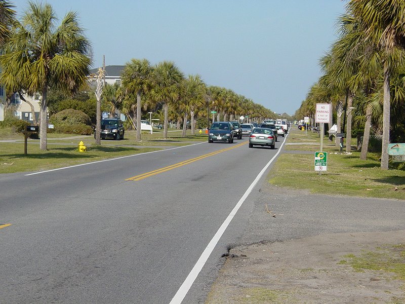 Palm Boulevard