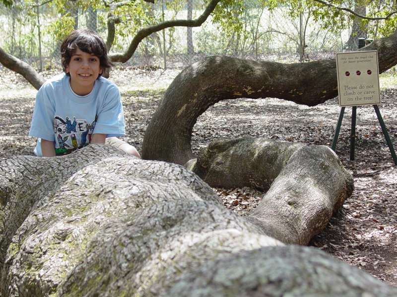 Tom at Angel Oak