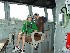 Tom and Ted aboard U.S.S. Laffey
