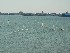 Sailing