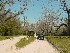 Boone Hall Plantation Entrance