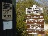 Boone Hall Plantation Entrance